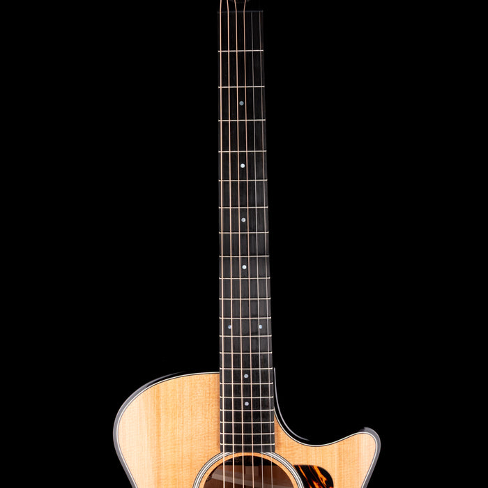 Taylor Truetone Custom Select Builder's Edition 814ce Grand Auditorium Mahogany Natural with Case