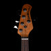 Ernie Ball Music Man StingRay Special 5 H Bass Genius Gold with Mono Case