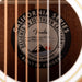 Pre Owned Fender Malibu Player Arctic Gold Acoustic Electric Guitar