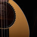Pre-Owned Fender Custom Shop Limited Edition Tom Petty Kingman Signature Acoustic Black With OHSC