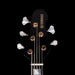 Yamaha NNBE2 Nathan East Signature 5-String Electric Bass Black with Case