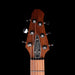 Pre-Owned 2024 Powers Electric Special Edition A-Type Hardtail Blacktop 1 of 8 With Soft Case