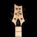 PRS SE Swamp Ash Special Charcoal with Gig Bag