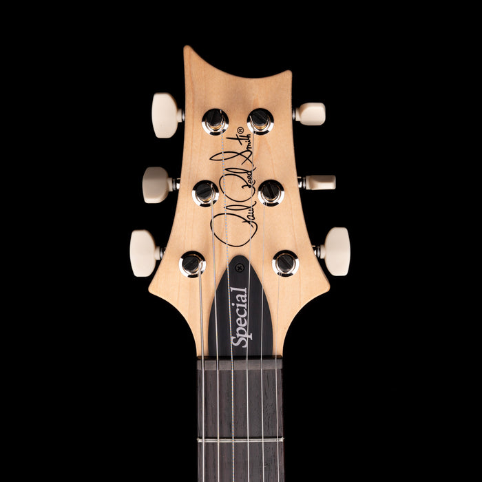 PRS Swamp Ash Special Rosewood Jasper Smokeburst with Gig Bag
