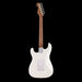 Fender Custom Shop Limited Edition Dave Murray Stratocaster Master Built by Andy Hicks Back