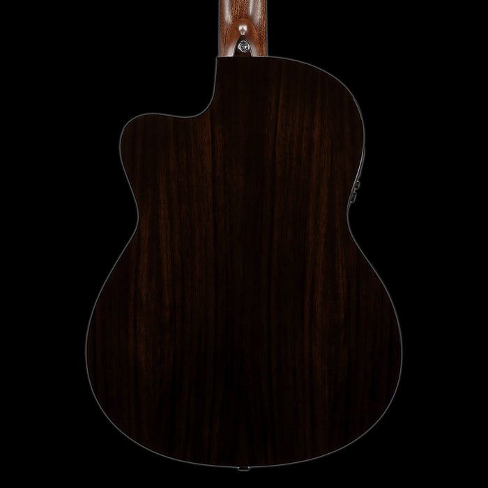 Alvarez Artist AC70Hce Back Crop
