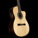 Alvarez Artist AC70Hce Bottom Up