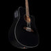 Alvarez Artist Series AD60-12CEBK 12-String Acoustic-Electric Dreadnought Guitar Black Up 