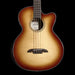 Alvarez AEB70ce Armrest Artist Elite Acoustic Electric Bass Shadowburst Front Crop