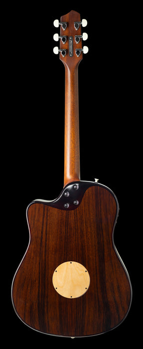 LR Baggs AEG-1 Sunburst Acoustic Electric Guitar Back