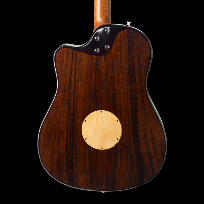 LR Baggs AEG-1 Sunburst Acoustic Electric Guitar Back Crop