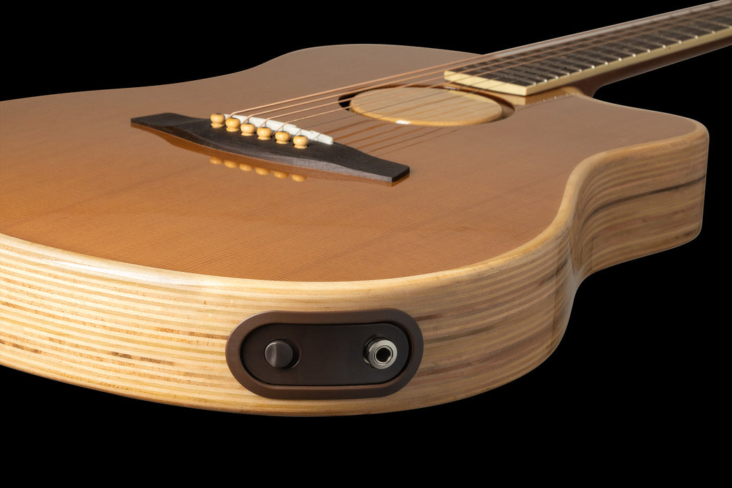 LR Baggs AEG-1 Torrefied Acoustic Electric Guitar Battery Drawer