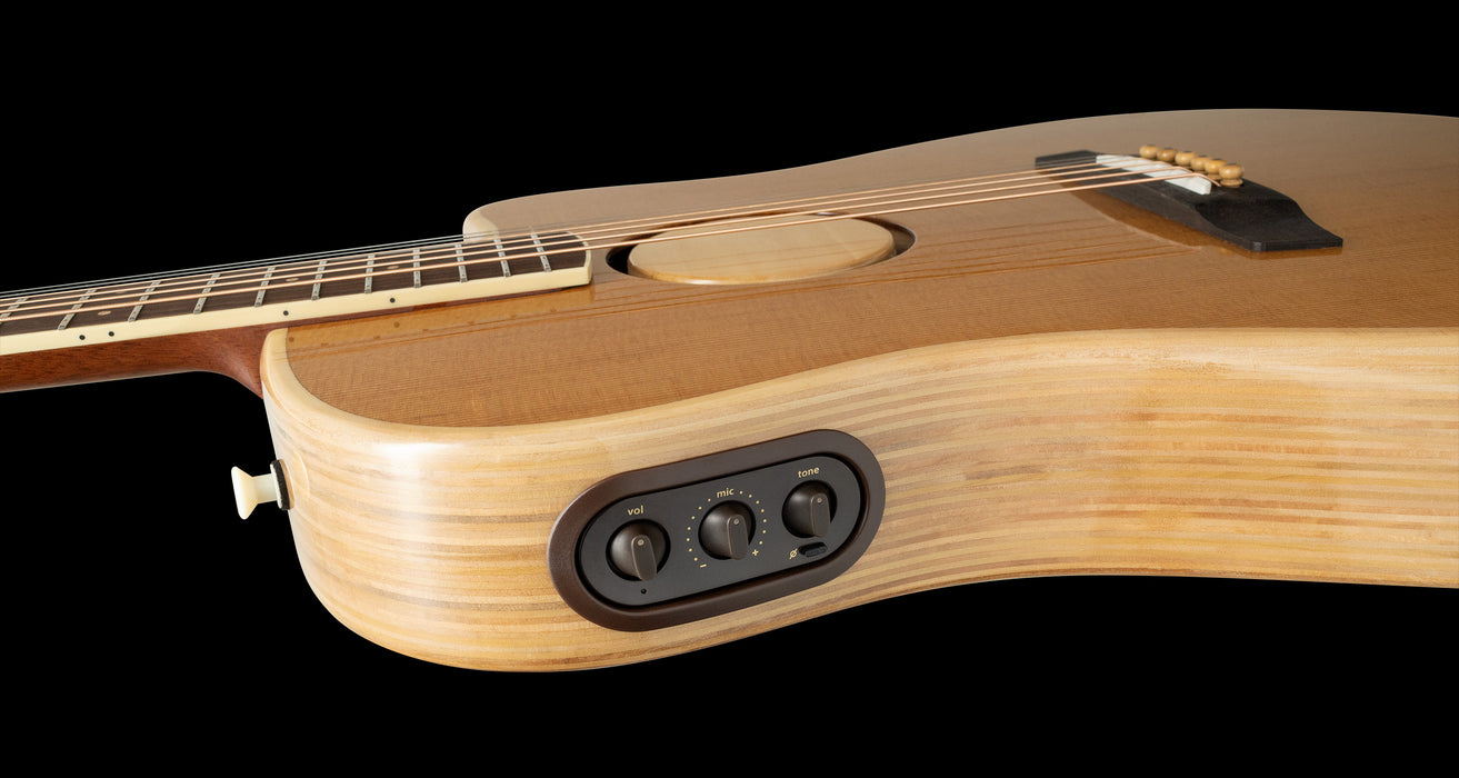 LR Baggs AEG-1 Torrefied Acoustic Electric Guitar Side Controls