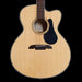 Alvarez Artist Series AJ80-CE Jumbo Acoustic-Electric Guitar Natural Front Crop