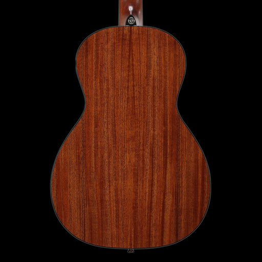 Alvarez Artist AP-66SHB Shadowburst Parlor Acoustic Guitar Back Crop