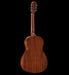 Alvarez Artist AP-66SHB Shadowburst Parlor Acoustic Guitar 3_4 Back Angle