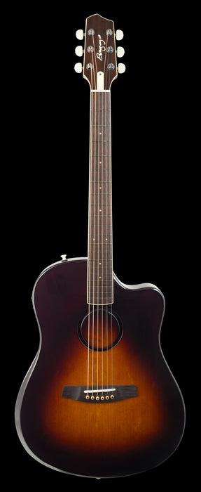 LR Baggs AEG-1 Sunburst Acoustic Electric Guitar Front