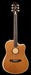 LR Baggs AEG-1 Torrefied Acoustic Electric Guitar Front