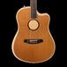 LR Baggs AEG-1 Torrefied Acoustic Electric Guitar Front Crop