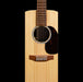 Martin D-X2E 12-String Brazilian Rosewood Acoustic Electric Guitar Closeup Front