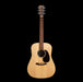 Martin D-X2E Brazilian Rosewood Acoustic-Electric Guitar Front 