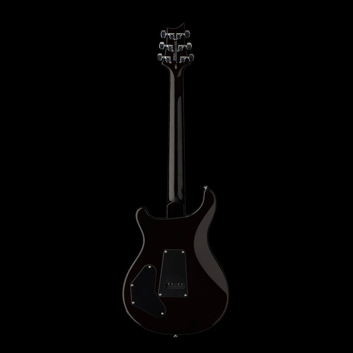 PRS SE DGT David Grissom Trem McCarty Gold Top Back