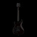 PRS SE DGT David Grissom Trem McCarty Gold Top Back