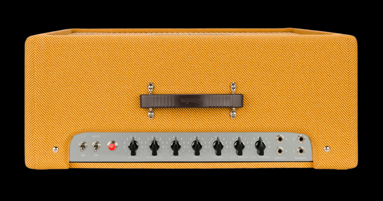 Fender Tone Master '59 Bassman Guitar Amp Combo Closeup Panel