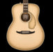 Fender Limited Edition California Vintage Palomino Antigua Pickguard Antigua With Case Front Crop