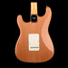 Fender Custom Shop Exotic 1960 Stratocaster Buckeye NOS Natural With Case