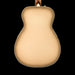 Fender Limited Edition California Vintage Malibu Antigua Back Crop
