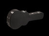 Fender Limited Edition California Vintage Palomino Antigua Pickguard Antigua With Case Case Closed