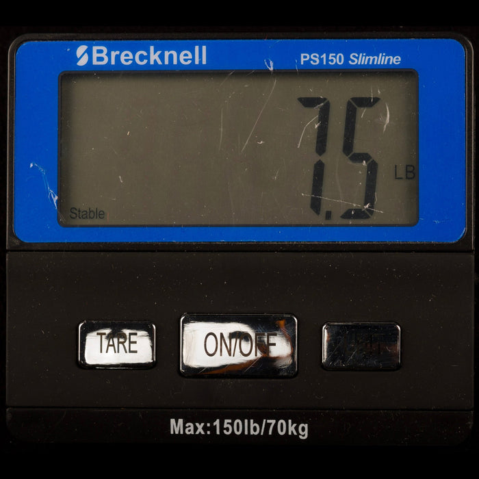 Gibson 70s Flying V Antique Natural with Case