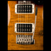PRS S2 Custom 24 Black Amber Closeup Pickups