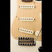Fender Custom Shop Limited Edition Roasted Stratocaster Special NOS '55 Desert Tan