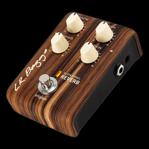 LR Baggs Pedals — Truetone Music