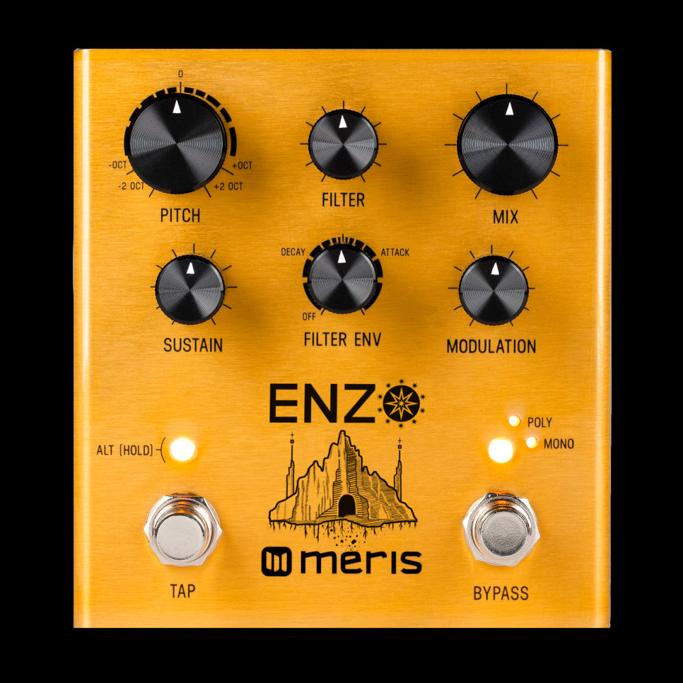 Meris Enzo Multi-Voice Synthesizer Guitar Effect Pedal — Truetone