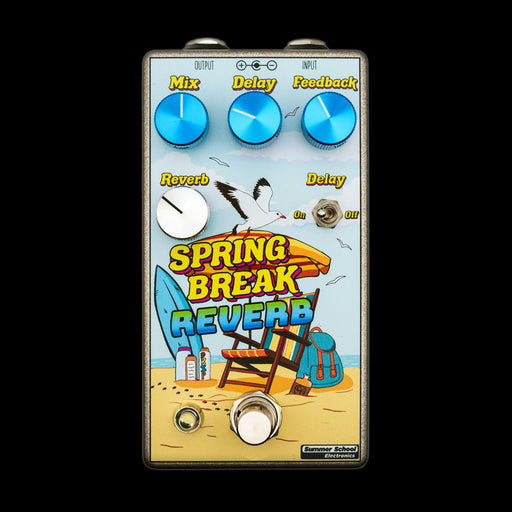 Summer School Electronics Spring Break Reverb Pedal Front