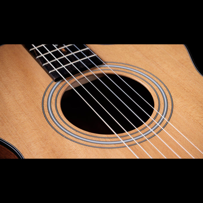 Taylor 112ce-N Nylon Acoustic Electric Guitar Rosette