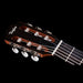 Taylor 112ce-N Nylon Acoustic Electric Guitar Headstock