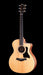 Taylor 114ce Acoustic Guitar With Gig Bag