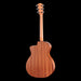 Taylor 114ce Special Edition Acoustic Guitar Back 