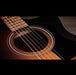 Taylor 114ce Special Edition Acoustic Guitar Closeup Soundhole