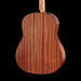 Taylor 117ce Special Edition Acoustic Guitar Burst Back Crop