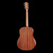 Taylor 117ce Special Edition Acoustic Guitar Burst Back 