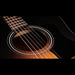 Taylor 117ce Special Edition Acoustic Guitar Burst Soundhole