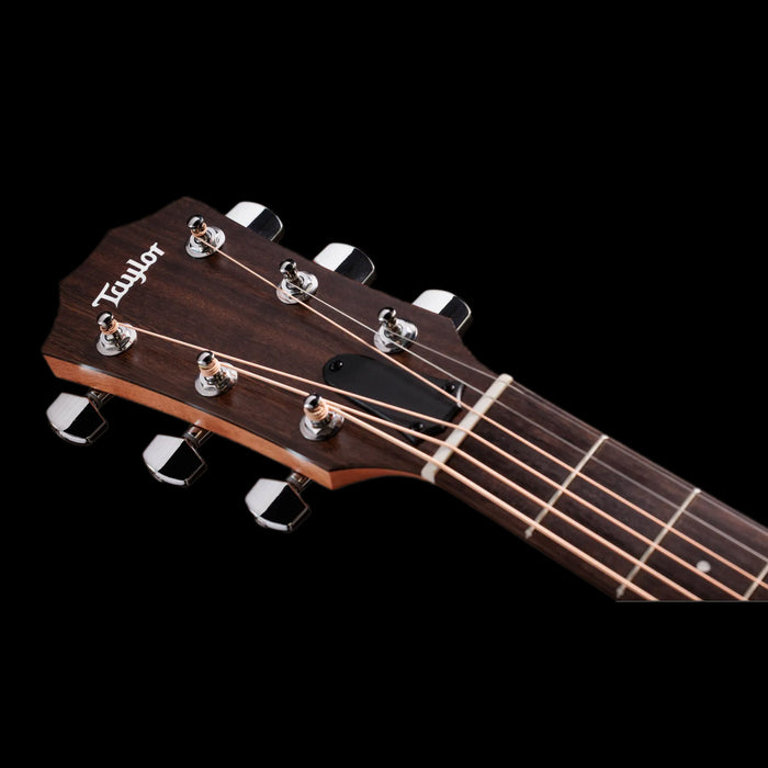 Taylor 117ce Special Edition Acoustic Guitar Burst Headstock