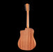 Taylor 150ce Bajo Quinto 10-String Acoustic Electric Guitar Back