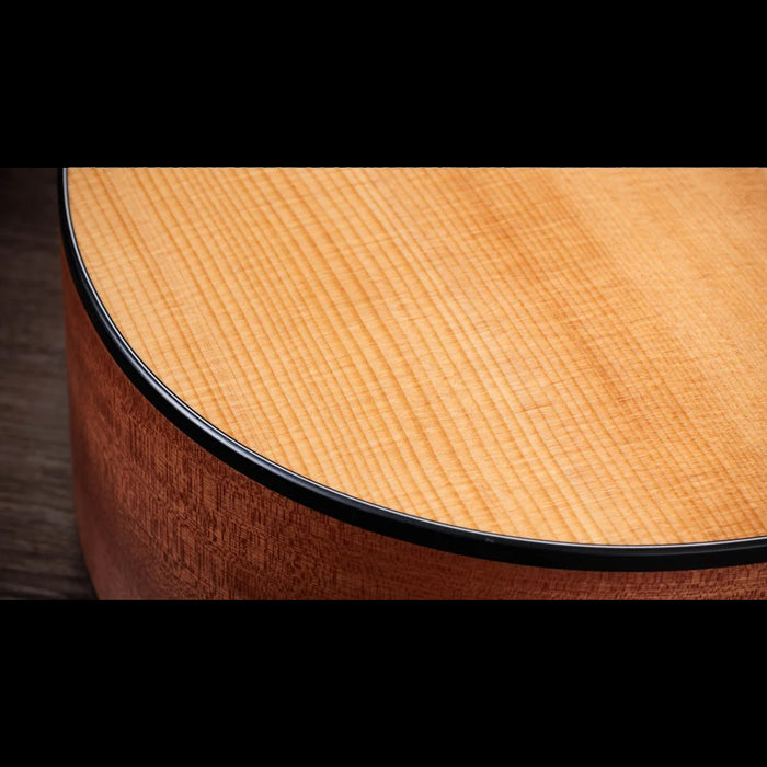 Taylor 150ce Bajo Quinto 10-String Acoustic Electric Guitar Closeup Top