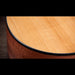 Taylor 150ce Bajo Quinto 10-String Acoustic Electric Guitar Closeup Top